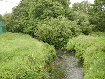Picture 15
